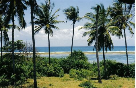 𝗧𝗛𝗘 𝟭𝟬 𝗕𝗘𝗦𝗧 Hotels in Tiwi of 2024 (from ₱956) .